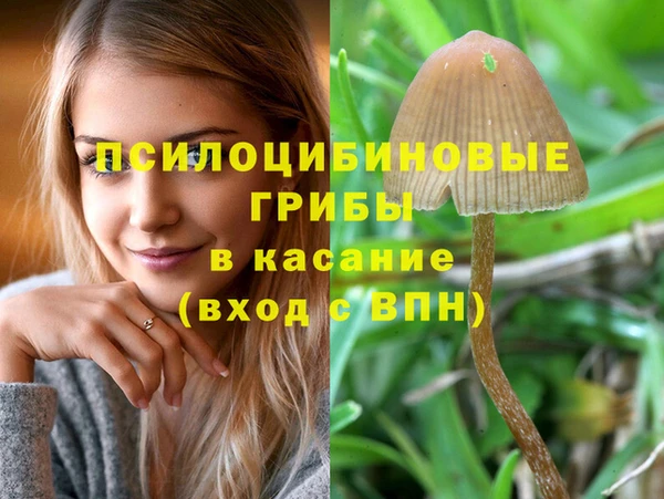 jwh Верея