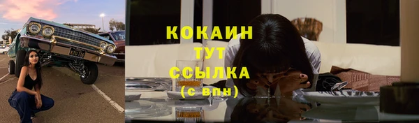 прущие грибы Губаха