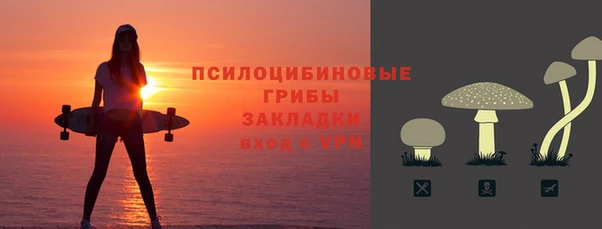 прущие грибы Губаха