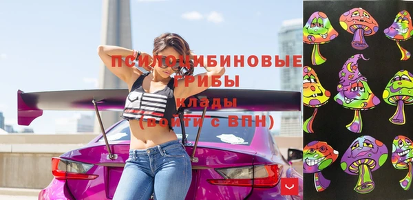 марки lsd Богородицк
