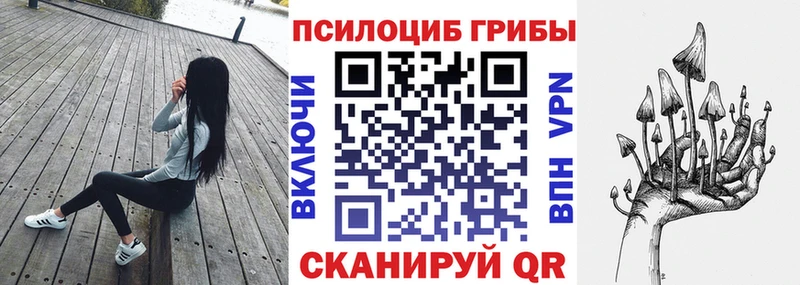 где купить наркоту  Горняк  Псилоцибиновые грибы мухоморы 